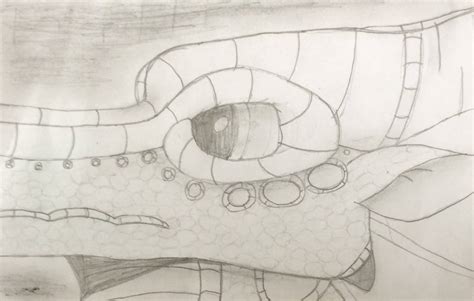 Rainwing Sketch By Thistle The Leafwing On Deviantart
