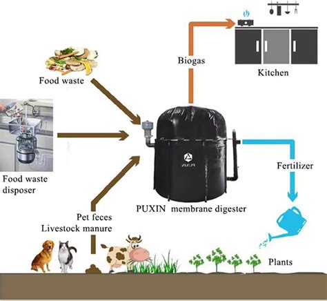 Puxin Home Biogas Plant Diy Household Biogas Philippines Ubuy