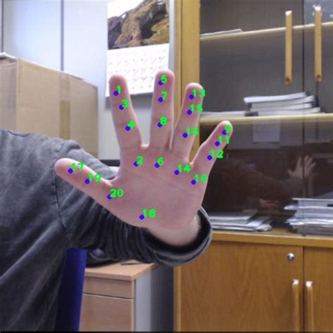 PDF Large Scale Multiview 3D Hand Pose Dataset