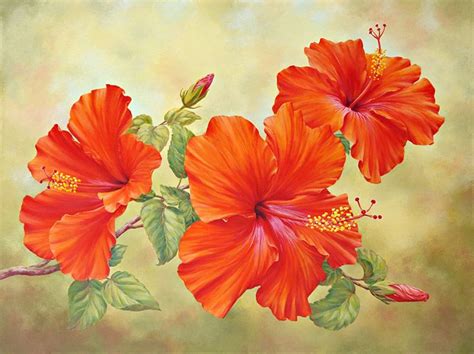 Hibiscus Flower Painting Acrylic At Explore Collection Of Hibiscus Flower