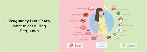 Healthy Pregnancy Diet Plan Every Woman Should Know Rbh Jaipur