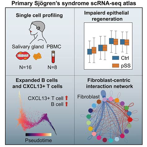 Single Cell Transcriptome Profiling Reveals Immune And Stromal Cell