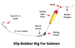 Top Salmon Rigs You Need To Know Detailed Rigging Guide