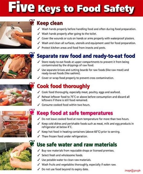 the five keys to food safety poster