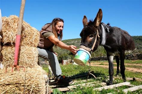 Tedavisi Tamamlanan E Ek Yeni Yuvas Na Kavu Tu Haberler