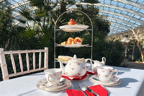 Botanical Gardens Devonshire Tea | Fasci Garden