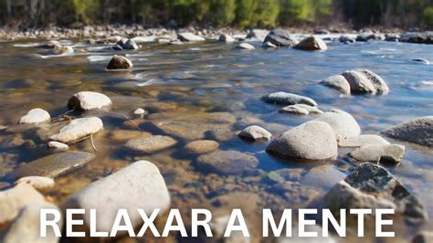 Música para Foco Leitura Estudar Trabalhar Concentrar Relaxar