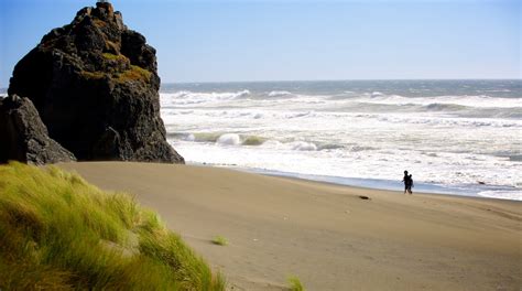 Visit Gold Beach: 2026 Travel Guide for Gold Beach, Oregon | Expedia