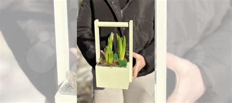 Первоцветы в горшках купить в Самаре | Товары для дома и дачи | Авито