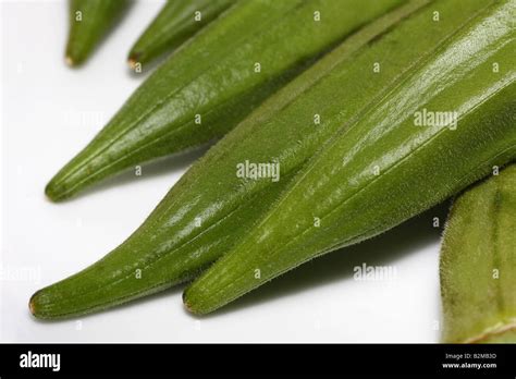 A Row Of Okra Edible Seed Pod Stock Photo Alamy