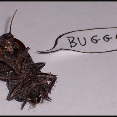 tag bug ars technica