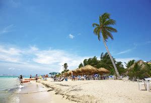 Swedish Bikini Team Old Milwaukee Beer History Story Behind The