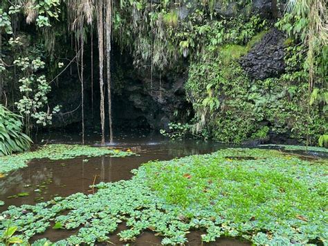 Maraa Grotto Tahiti 2020 All You Need To Know Before You Go With