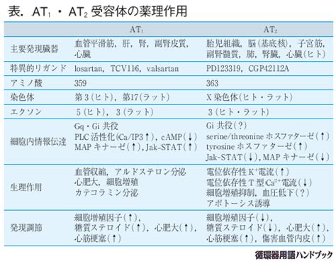 循環器用語ハンドブック（web版） At1受容体／at2受容体 医療関係者向け情報 トーアエイヨー