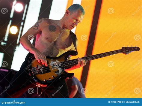 Red Hot Chili Peppers In Concert Editorial Stock Photo Image Of Peppers Michael 129847688