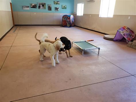 Lone Pine Pet Lone Pine Pet Resort Roseburg Oregon