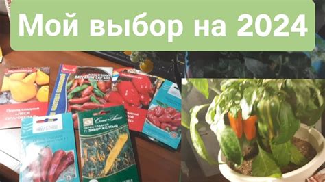 Семена перца. Какой острый и сладкий перец я действительно могу ...