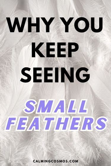 Why You Keep Seeing Small Feather Meaning Of Small Feathers White