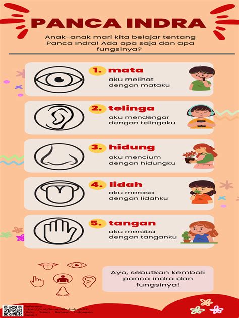 mengenal panca indra