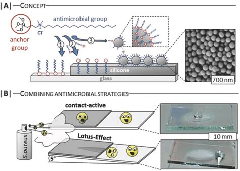 A The Modification Of 1 Glass 2 Silicone And 3 Sio2 Nanoparticles