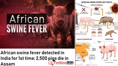 African Swine Fever Coronavirus African