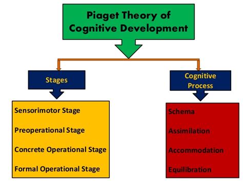 Piaget's Schematic Development Theory Piaget Schema Theory I