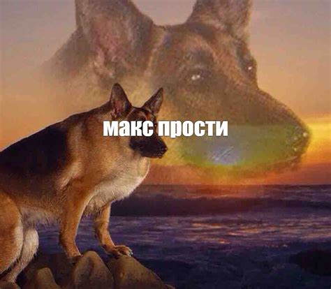 Мем: "макс прости" - Все шаблоны - Meme-arsenal.com