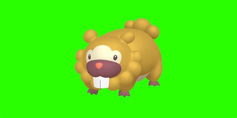 Pokémon Go: How To Find (& Catch) Shiny Bidoof