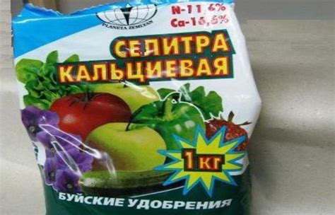 Кальциевая селитра: состав и формула, инструкция по применению удобрения