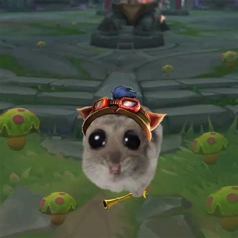 Zeemo - exclusive content on Boosty