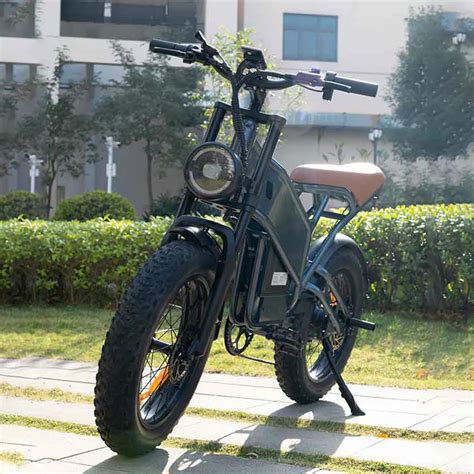 Factory Wholesale Fat Tire Electric Bike E Bike Price Fatbike 750w