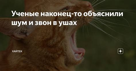 Ученые наконец-то объяснили шум и звон в ушах | Хайтек | Дзен