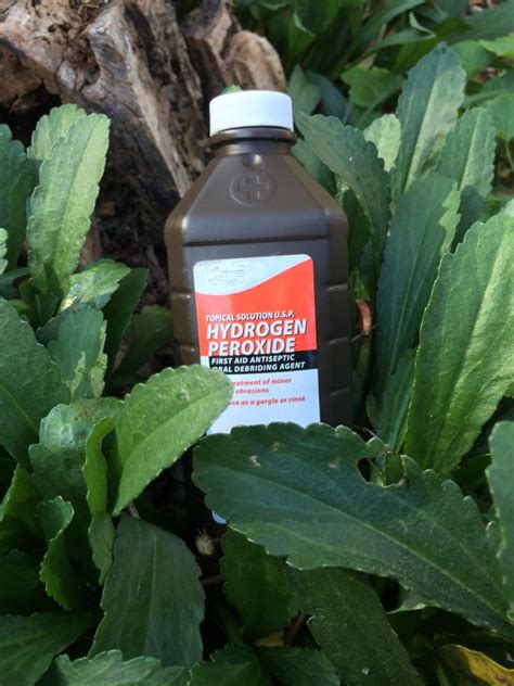 Best Way To Use Hydrogen Peroxide For Plants Hydrogen Peroxide