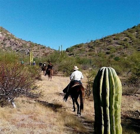 THE 15 BEST Things to Do in Loreto - 2023 (with Photos) - Tripadvisor