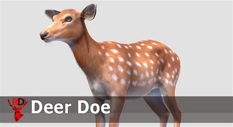 Deer - Doe in Characters - UE Marketplace