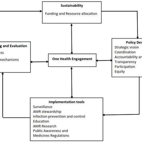 Antimicrobial Resistance Amr Governance Framework With Four Areas And