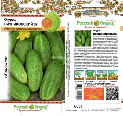 Огурец Вязниковский 37: характеристика и описание раннеспелого сорта с фото