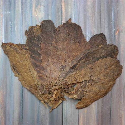 Criollo 98 Viso 1lb Whole Leaf Tobacco