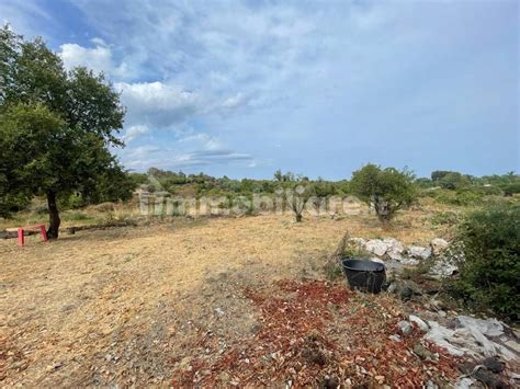 Terreno Agricolo Via Roccamena Acireale Rif Immobiliare It