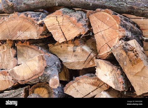 Pile Of Stacked Triangle Firewood Prepared For Fireplace And Boiler