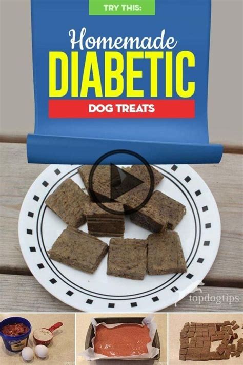 15 Great Diabetic Dog Treat Recipes – Easy Recipes To Make at Home