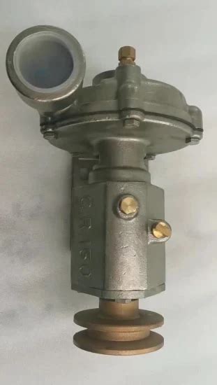 Marine Engine Cr100 Stainless Steel Sea Water Pump Sea Water Pump And