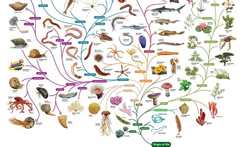 22 Senderos Del Arbol De La Vida 3