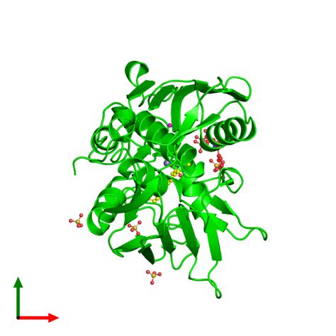 Pdb Mqy Gallery Protein Data Bank In Europe Pdbe Embl Ebi