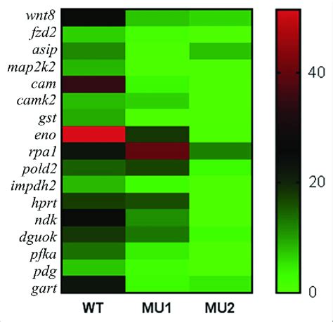 Heat Map Showing The Expressions Of Selected Degs In Three Body Color Download Scientific