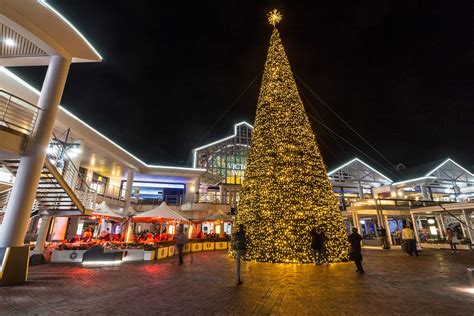 Celebrating Christmas In South Africa | House Of Kringle