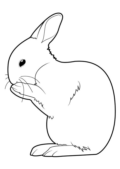 Coloriages de lapins à imprimer gratuitement - Observer