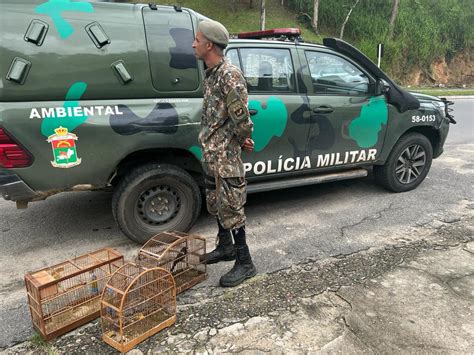 Policiais Resgatam P Ssaros Silvestres De Cativeiro Em Petr Polis