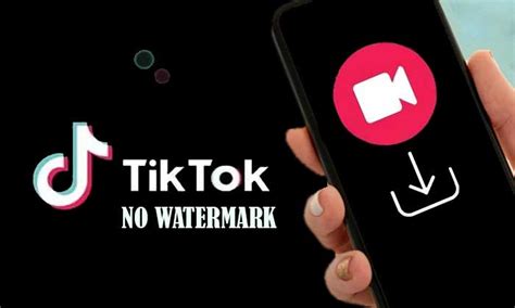 Alasan Memilih TikTok MOD APK Dan Resiko Menggunakannya Kanal Informasi