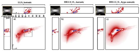 Photonics Free Full Text Deformation Measurements Of Neuronal Excitability Using Incoherent